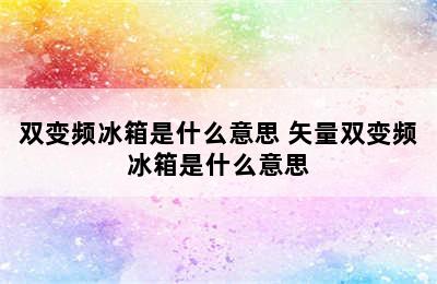 双变频冰箱是什么意思 矢量双变频冰箱是什么意思